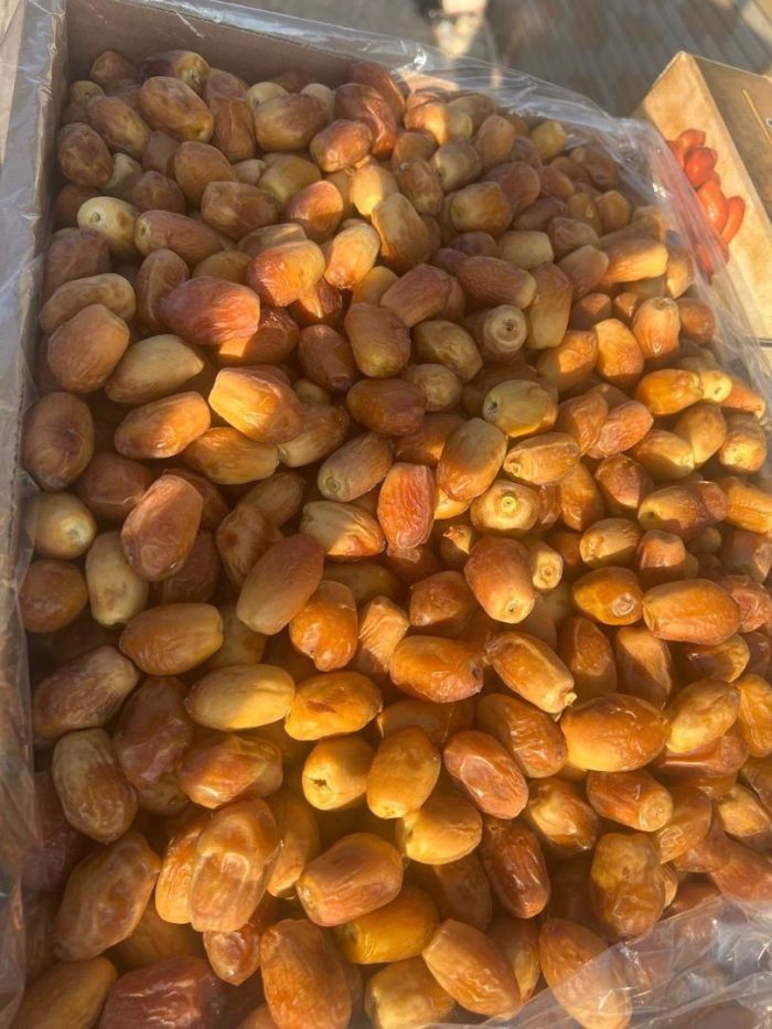 zahedi dates