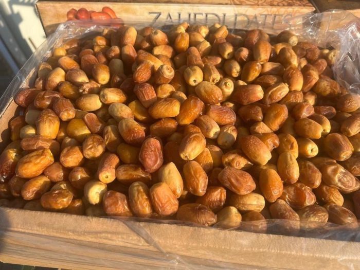 zahedi date