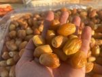 zahedi dates