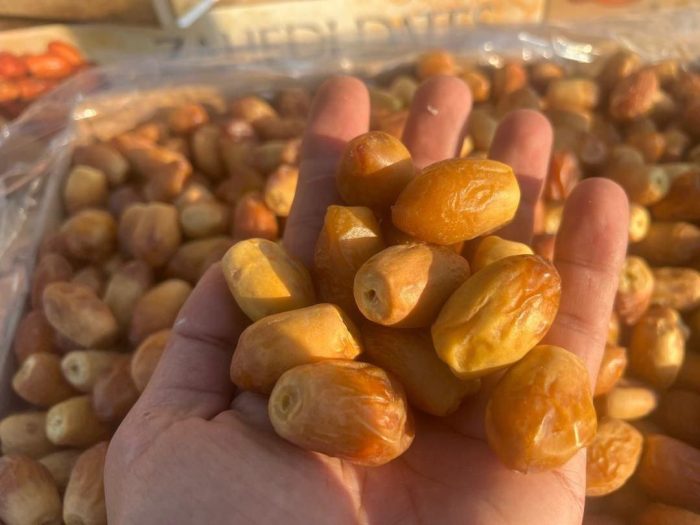zahedi dates