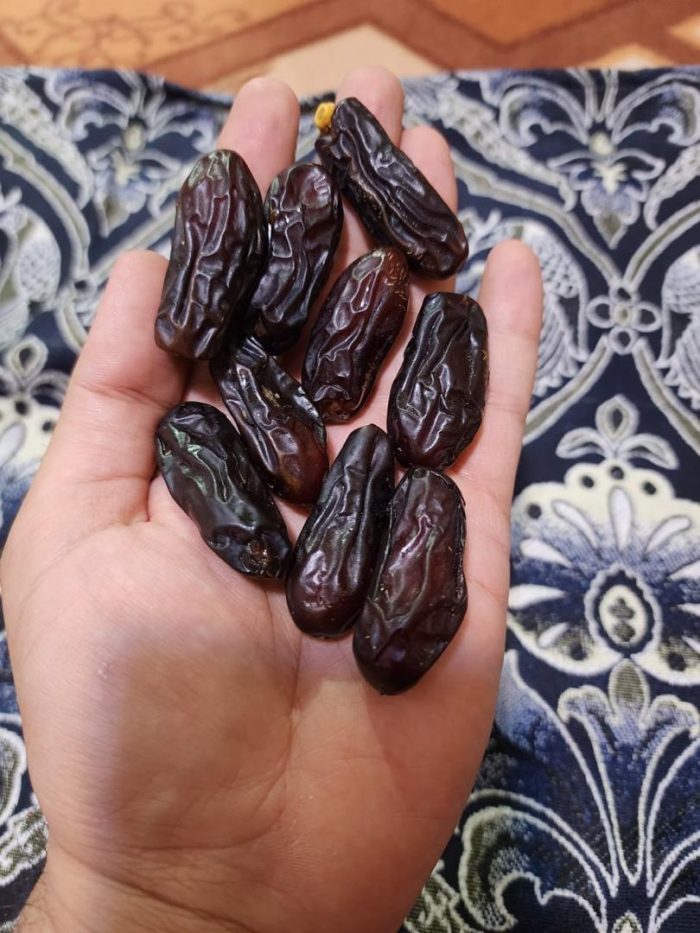 rabbi dates