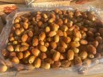 zahedi dates
