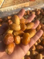 zahedi dates