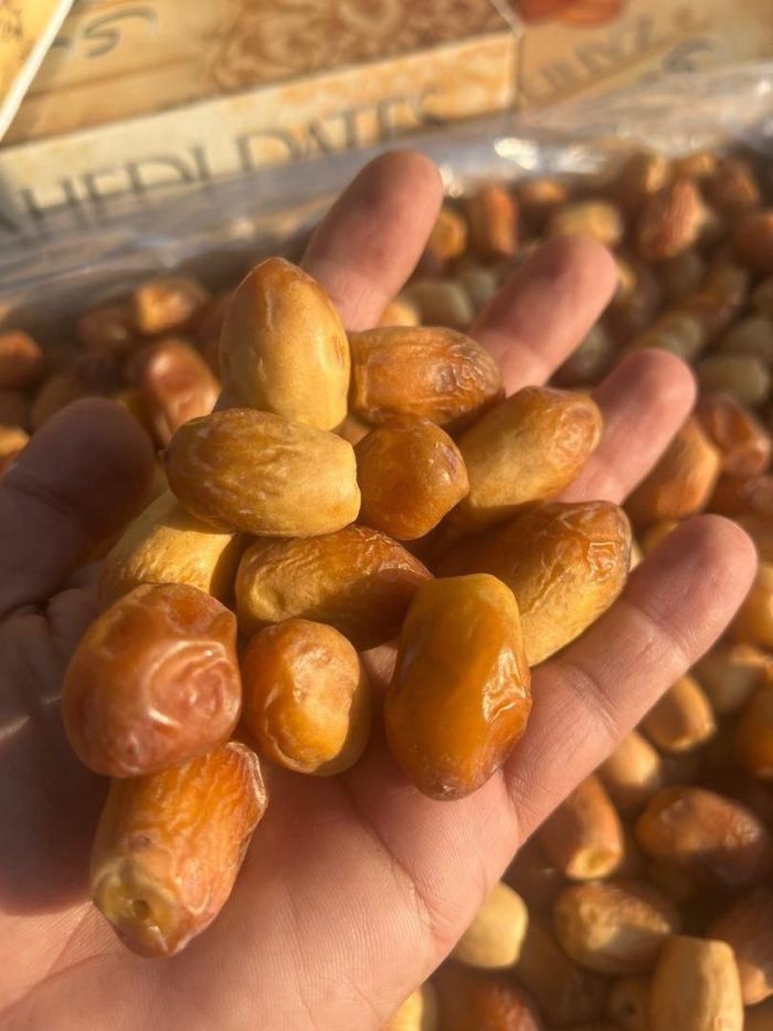 zahedi dates