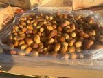 zahedi dates